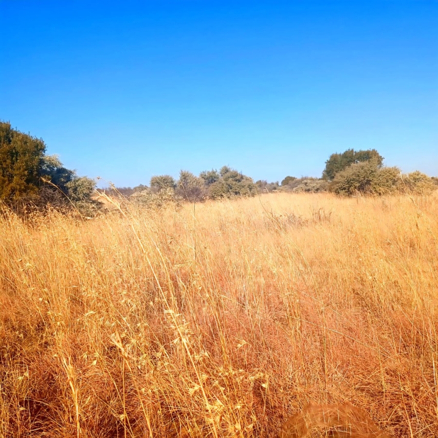 Commercial Property for Sale in Reivilo Northern Cape